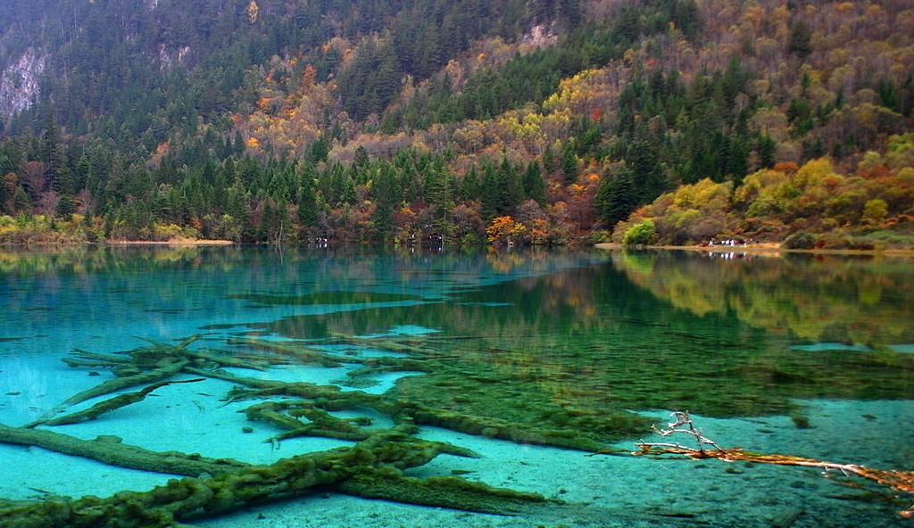 7-day Chengdu Leshan Mt.Emei & Jiuzhaigou Tour 